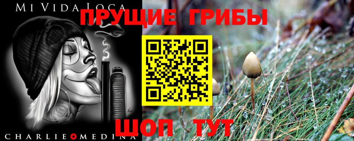 Избербаш  Псилоцибиновые грибы Psilocybine cubensis  Вход с VPN 