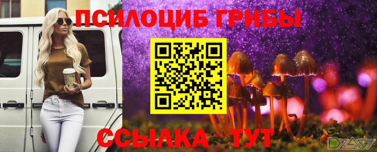 Псилоцибиновые грибы мицелий Избербаш