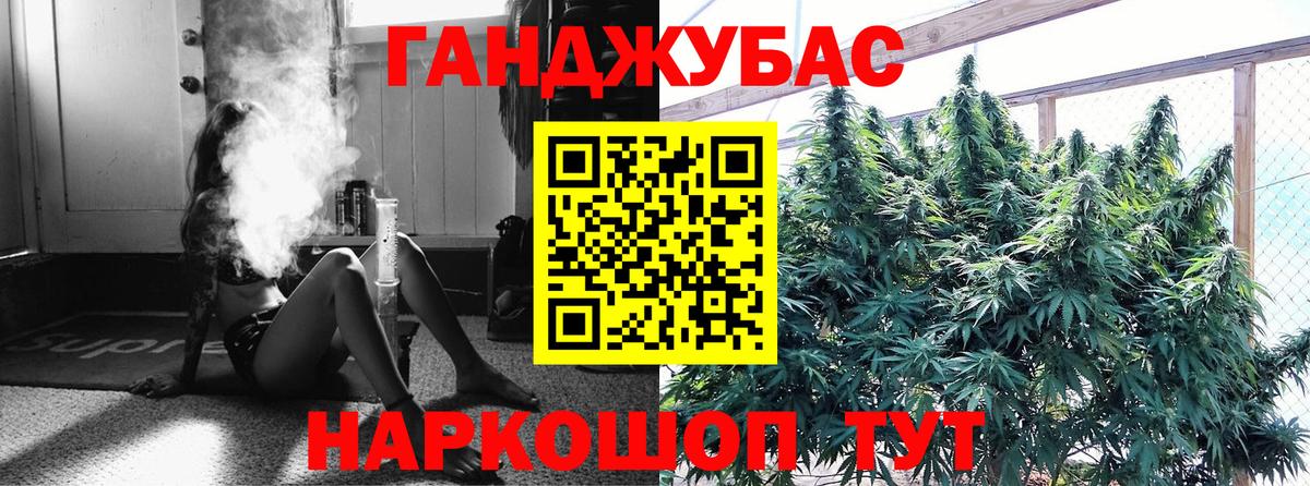 Конопля семена  Шишки марихуана план  Избербаш  Вход с VPN  Каннабис Bruce Banner 
